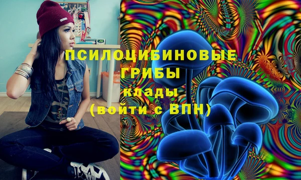 МДПВ Абдулино
