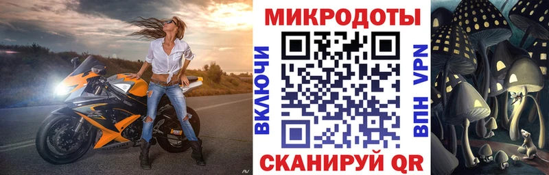 Галлюциногенные грибы Cubensis  где найти   Солигалич 